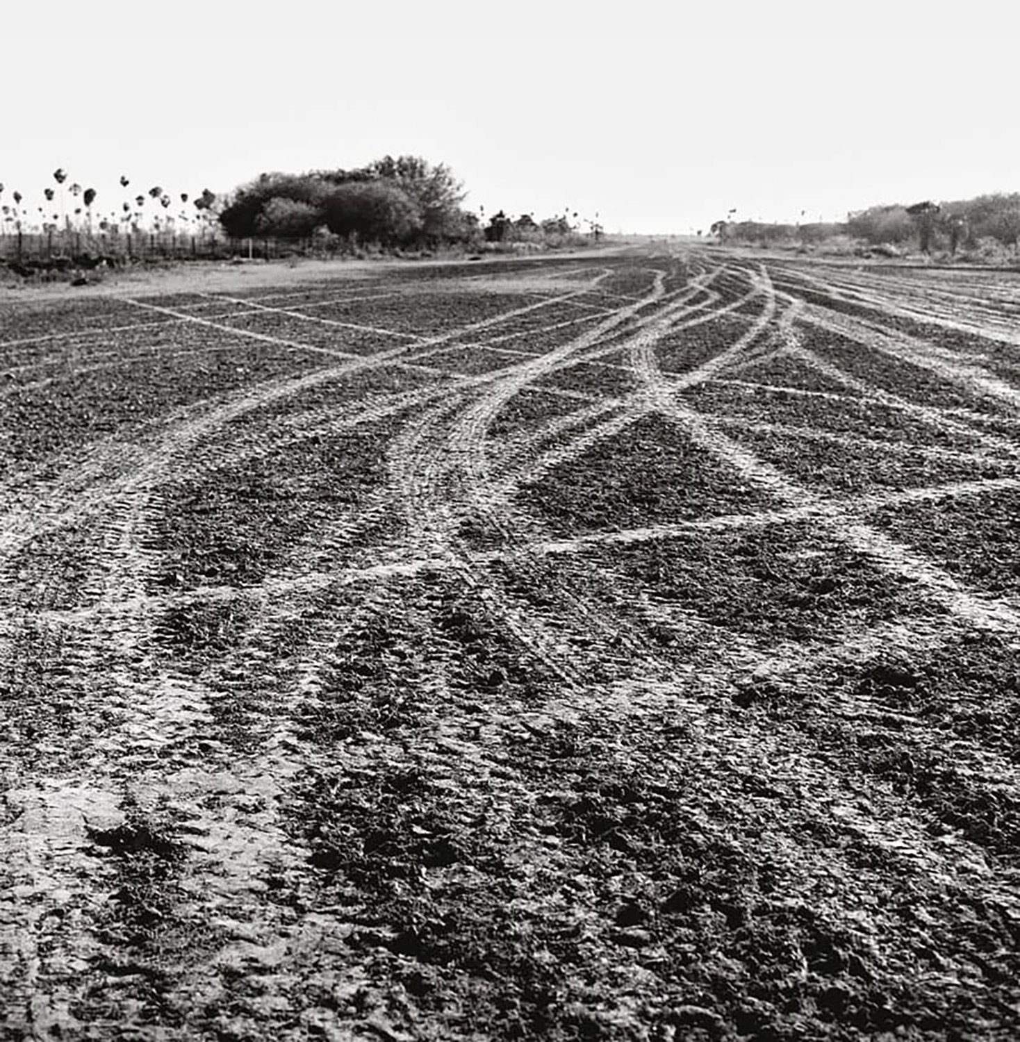 Yaca´a y otras máscaras