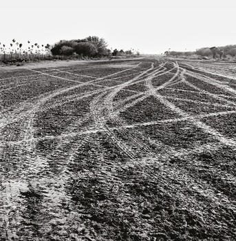Yaca´a y otras máscaras