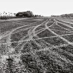 Yaca´a y otras máscaras