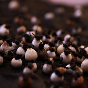 Verónica Torres - Casa Mayor Galería de Arte