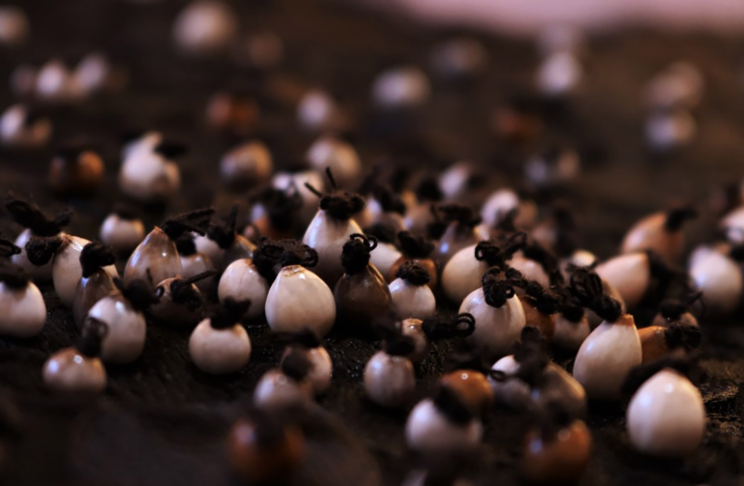 Sin título. Serie de obras 