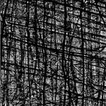 Estética de la extinción