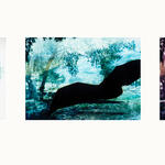 Sin titulo (0408) [Estudios #1, #2, #3]