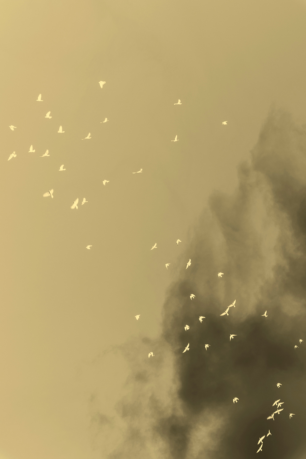 Caso 119_ Las ´Ofrendas¨ de Luopu