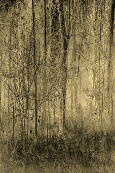 Caso 21_ El ´Sulu´ de Yunmen