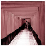 Cuento de Rojo V / Story of Red V