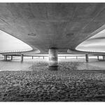 El Soporte / Support