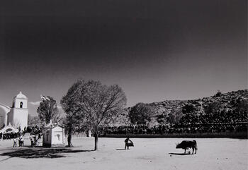 El toro y la cruz. Autor:  Eduardo Longoni