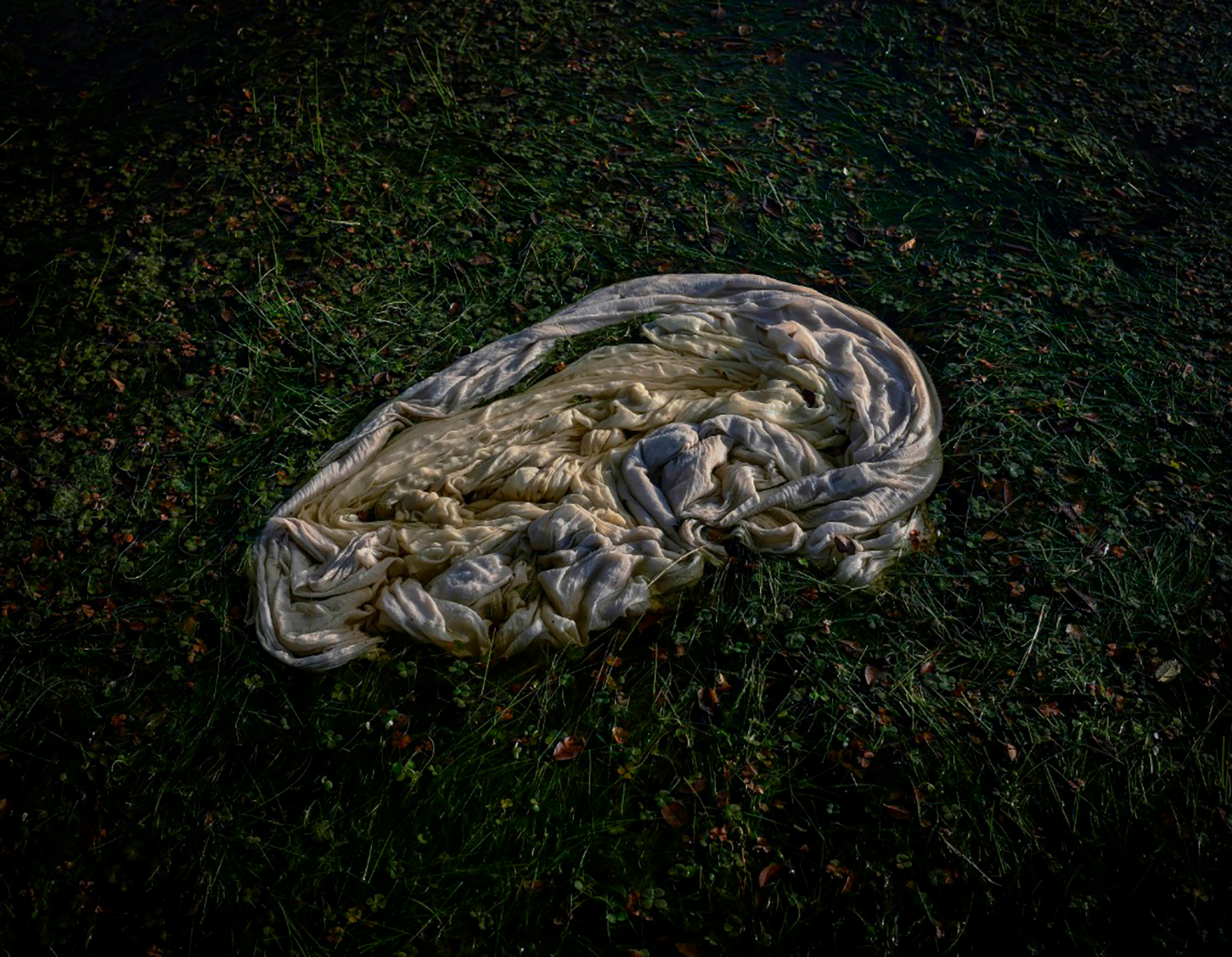 Hay que temer ser engullido por ella.