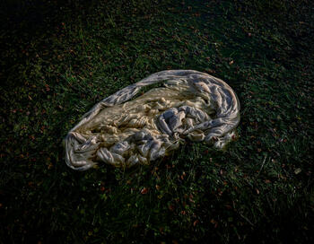 Hay que temer ser engullido por ella.