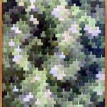 Verano II. Dípitco A