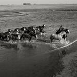 ZONA V Fine art point