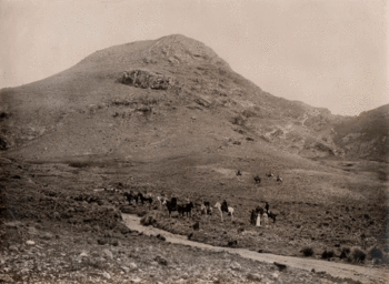 Turistas en busca del misterioso Toxodon.