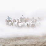 Sueño de una noche de verano