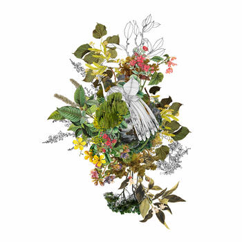 Paisaje 61- Cambios de estado