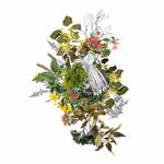 Paisaje 61- Cambios de estado