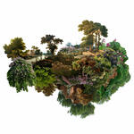 Paisajes culturales XL