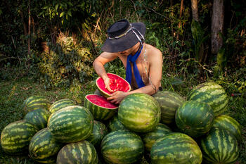 Dame de beber Sapucay marica