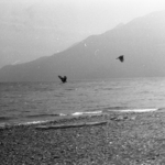  Vuelo a la orilla del lago