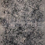 ST (barbas de viejo N 2)