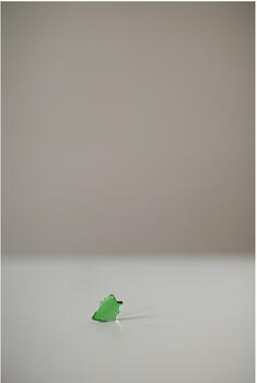 La tinta perdida una falsa verdad 