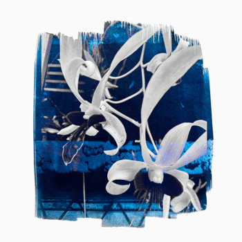 UNIVERSOS PARALELOS IV