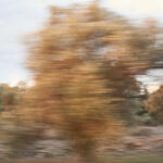 Camino a Volissos, Chios