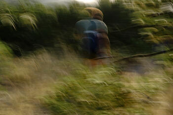 Hombre entre los pastos, Platja del Borro