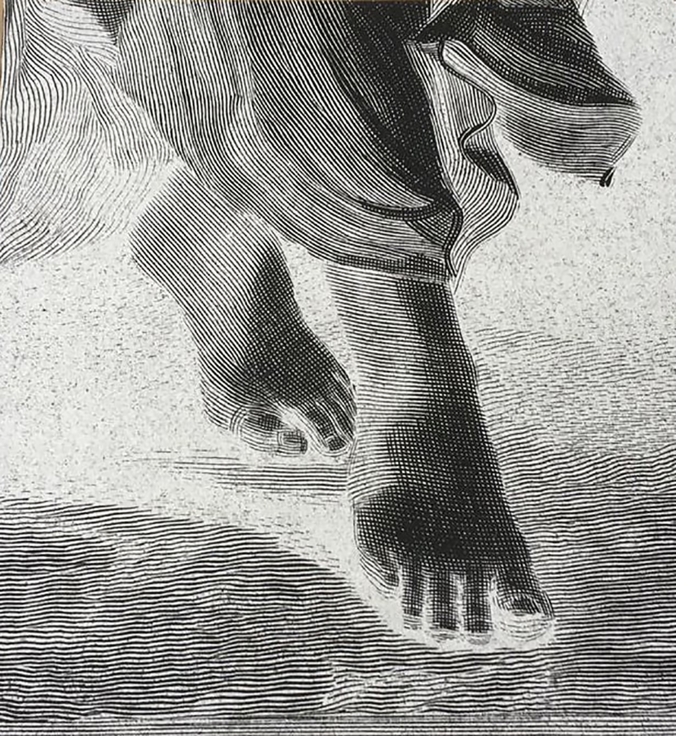 ST de la serie de negativos de Desentierros