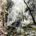 Apuntes de la naturaleza