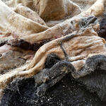 Site specific | Primera Sal