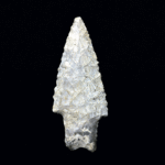 Lo salvaje apareció en mis sueños