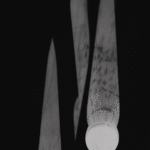 Fotograma No.078 de Mirando Morandi