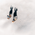 Dualidad en tránsito