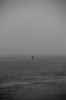 The Signal Southampton
