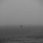 The Signal Southampton