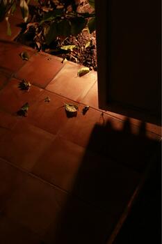 S/t 3 Del proyecto: “Imagen de la oscuridad” 