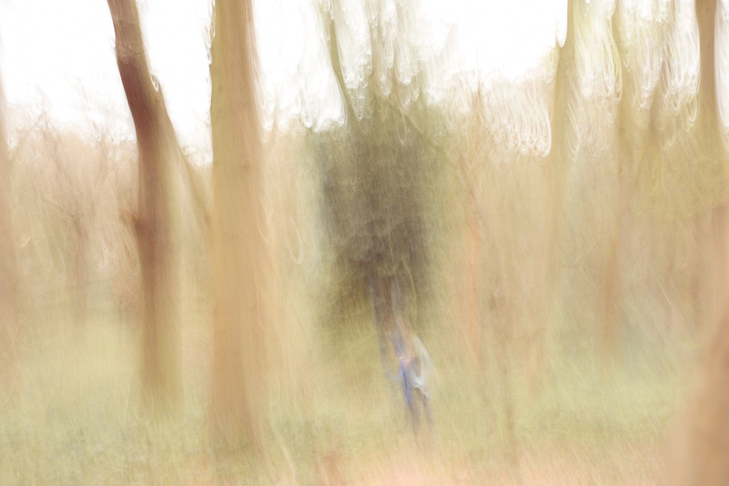 Jorge Luis en Highgate Wood, Londres