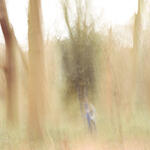 Jorge Luis en Highgate Wood, Londres