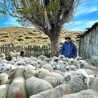 PATAGONIA Noel (convert.io)RET