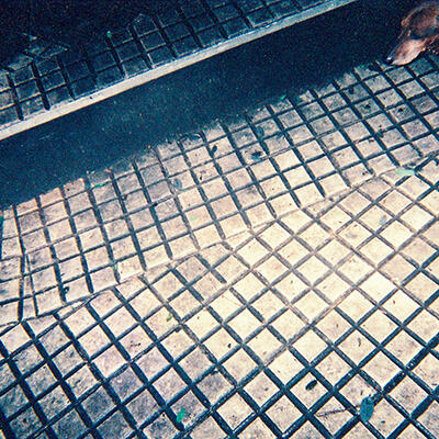 ANONIMO Invierno, Barrio Recoleta Fotografía color 20 x 30 cm