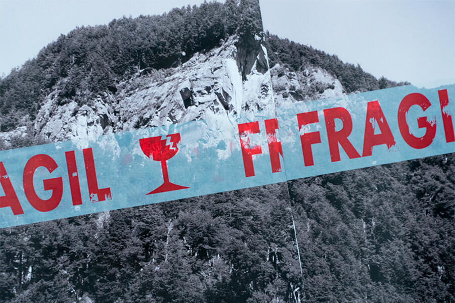 NEXT | Fuera de foco: Aquí, siempre y nunca