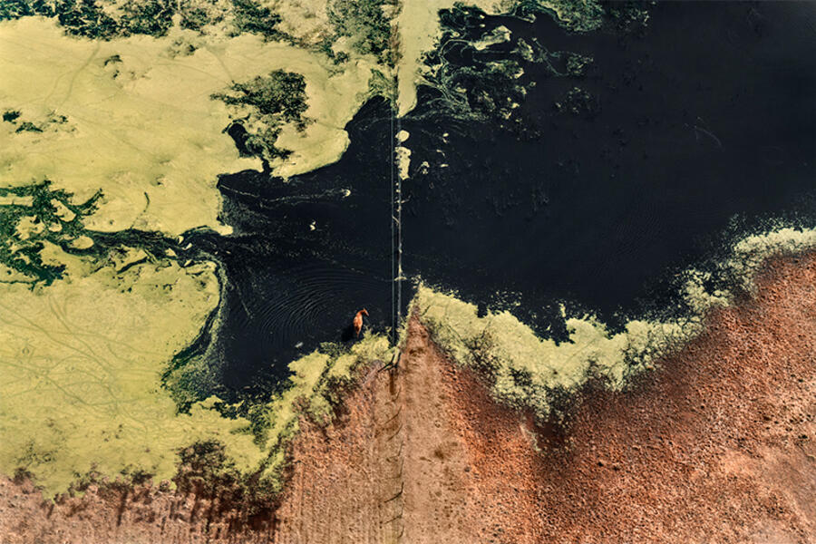 Pinta BAphoto + Always Art