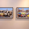Special Project | Alberto Goldenstein: 2001MDQ2026