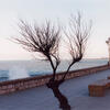 S_T, serie Mar del Plata (2001_2) Copia cromogénica 2002 , 16x23,5 cm(1)