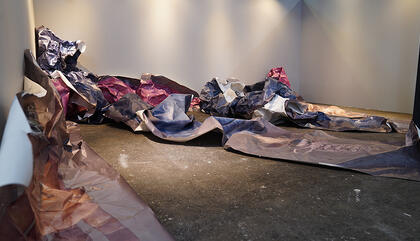 Special Project: Cecilia Lenardón