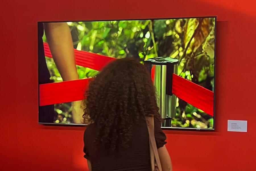 Video Project | Donna Conlon: Refugios Frágiles