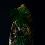 De la serie “Sin Identidad II”