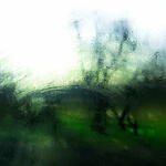 Ensoñaciones en gris