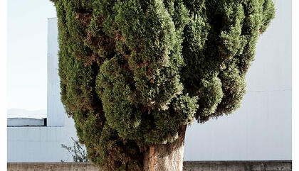 Monasterio Benedictino